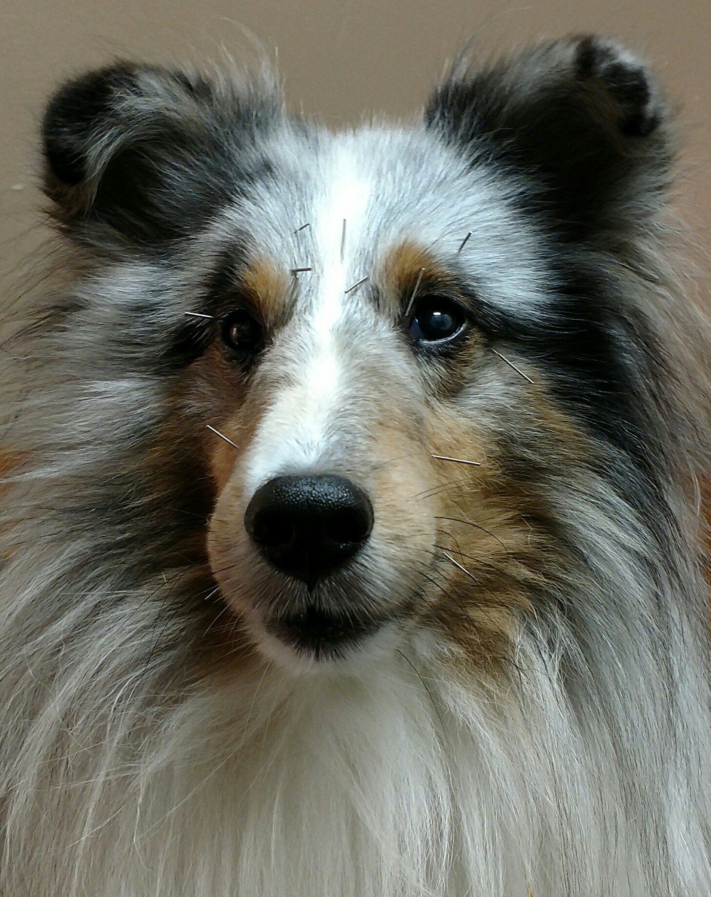 img_20161011_113946668